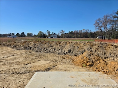 451 Black Duck Ln unit 102, Lillington, NC 27546 - photo 5