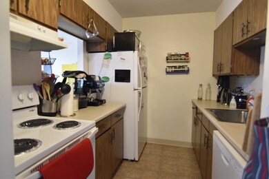 70 Centre St unit 3C, Brookline, MA 02446 - photo 7