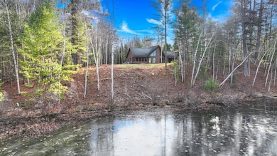 9335 Little Bearskin Creek Rd, Harshaw, WI 54529 - photo 6