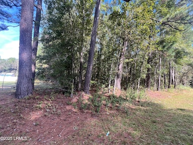 5351 Tillman Rd, Ridgeland, SC 29936 - photo 2