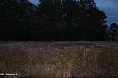 316 Bobbys Drive view 2 of lot