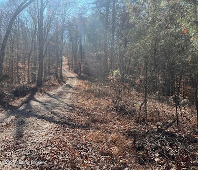 L32 Ted Logsdon Rd, Clarkson, KY 42726 - photo 6