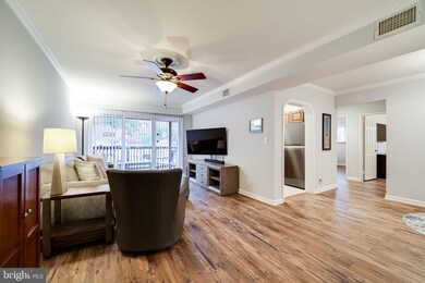 207 Skyhill Rd unit 3, Alexandria, VA 22314 - photo 5