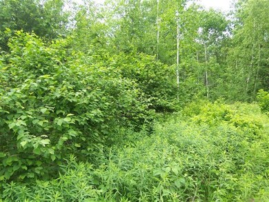 0 (Lot 8) Deer Stand Trail, Webster, WI 54893 - photo 3