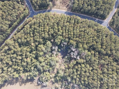 Lot 45 Marsh Dr NE, Crescent, GA 31331 - photo 4