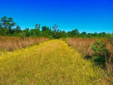 TBD Lewis Ln, Gloster, MS 39638 - photo 7