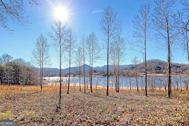 314 Lakeside Dr, Hiawassee, GA 30546 - photo 3