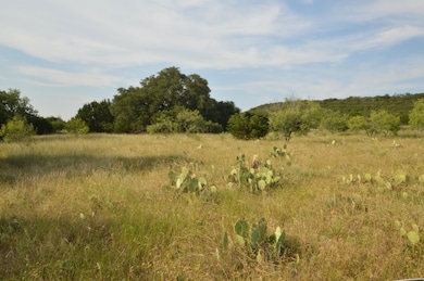 17426 N Us Highway 183, Lometa, TX 76853 - photo 6