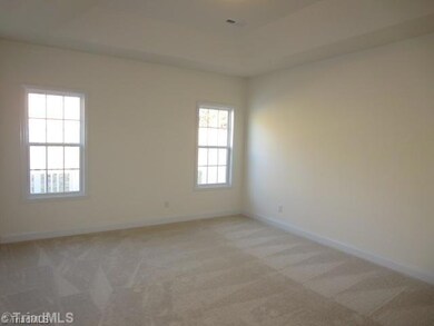Master Bedroom. Large Master Bedroom with Tray Ceiling