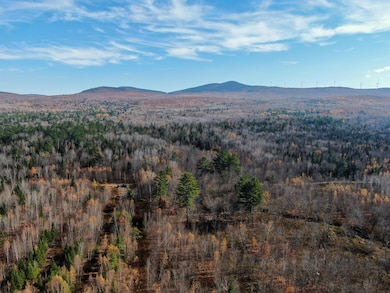 DJI_0533