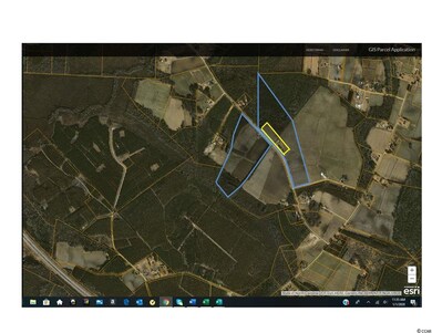 TBD Highway 139, Conway, SC 29526 - photo 2