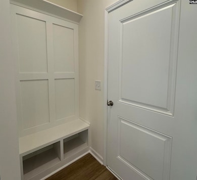 530 Griffon Dr, Chapin, SC 29036 - photo 2