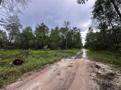 0 NE 112th Ct, Ocala, FL 32134 - photo 3