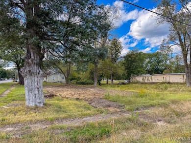 0 7th Ave W, Linden, AL 36748 - photo 5