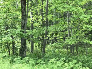 00 Holden Hill Rd unit Lot 1, Weston, VT 05161 - photo 3