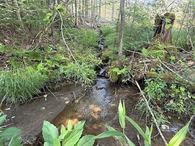 Route 580 Hwy unit 6, Cherry Tree, PA 15728 - photo 6