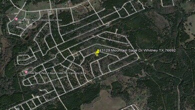 43129 Mountain Sage Dr, Whitney, TX 76692 - photo 4