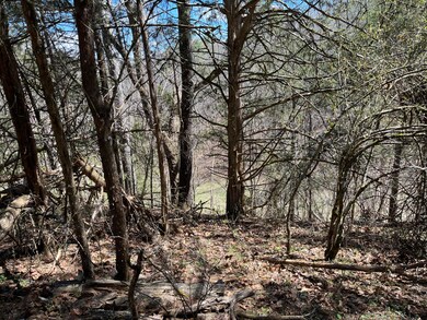 0 Back Cr S Sec Rt 23 5 39 9 unit 23-18, Union, WV 24983 - photo 2