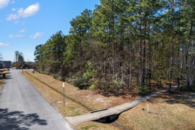 3711 Birnham Bend Cir, Spring, TX 77386 - photo 2