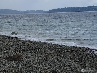 Standing on the beach looking to the south, McNeil Island and Key Pen.
