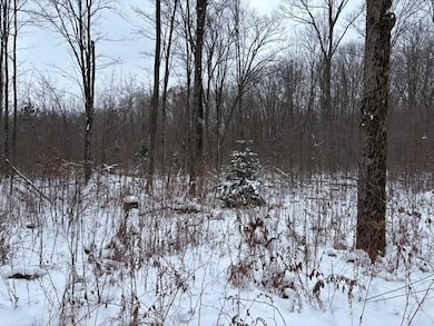 ON Outlaw Rd, Bern, WI 54451 - photo 4