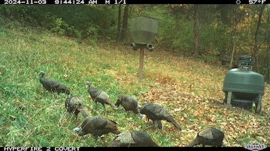 14912 Illinois 96, Nebo, IL 62355 - photo 5