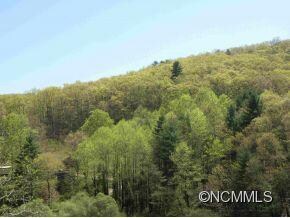 10 Spring Creek Trail, Asheville, NC 28806 - photo 3