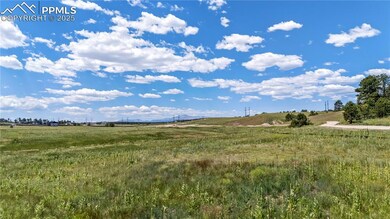 10490 Alamar Way, Black Forest, CO 80908 - photo 4