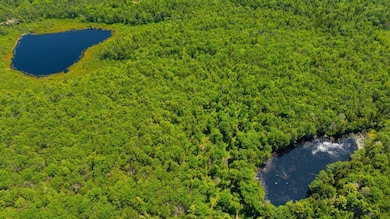 Lot #2 Rte 209 Main Rd, Phippsburg, ME 04562 - photo 6