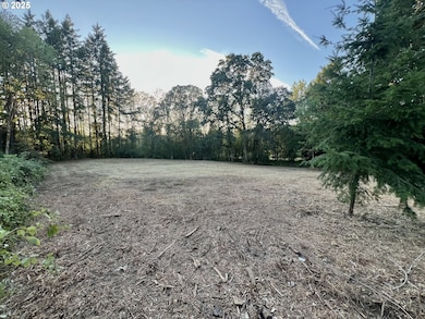 2855 Columbia Blvd, St. Helens, OR 97051 - photo 4