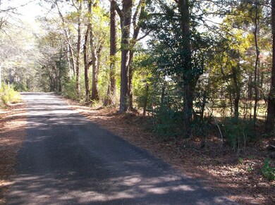 Carpenter Lane looking east