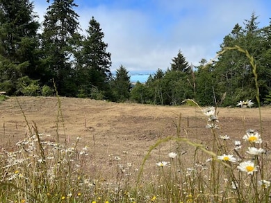 12.3 Acres Splinter Ln, Arcata, CA 95521 - photo 6