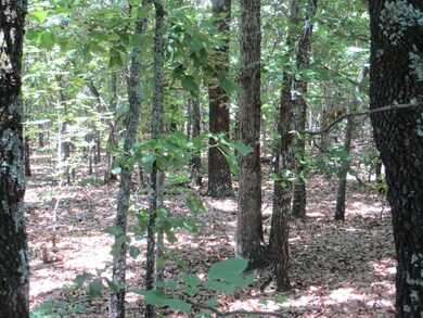 000 Bush Run, Mammoth Spring, AR 72554 - photo 3