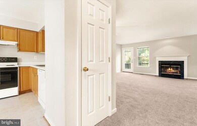 202 Heaton Ct, Purcellville, VA 20132 - photo 7