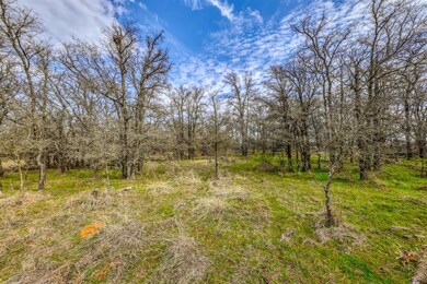 000C Lacy Dr, Lipan, TX 76462 - photo 6