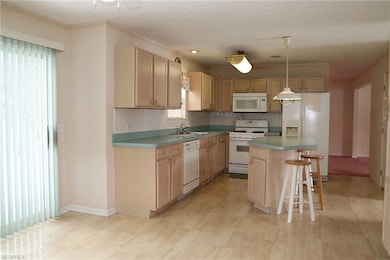 22521 Libby Rd, Bedford, OH 44146 - photo 2