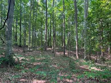 10.97 AC H R Huffer Rd, Allons, TN 38541 - photo 2
