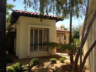 Front yard 3