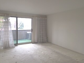 1730 W Galena Blvd unit 203W, Aurora, IL 60506 - photo 7