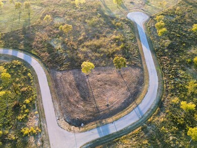 LOT 31 Chambers Bay, Kerens, TX 75144 - photo 4
