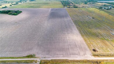 000 E Cantu Rd, Santa Rosa, TX 78593 - photo 6