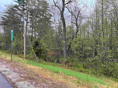 Map 202 Lot 1 New Hampshire 25, Center Ossipee, NH 03814 - photo 2