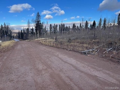 Lot 2544 Petito Dr, Fort Garland, CO 81133 - photo 7