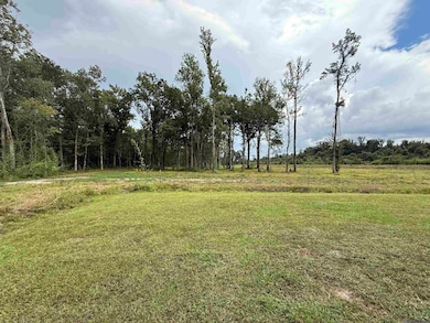 6-Z-1-C Pertuis Rd, Saint Amant, LA 70774 - photo 6