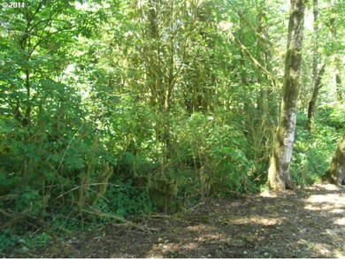 0 Fitzsimons unit 14329491, Tillamook, OR 97141 - photo 6