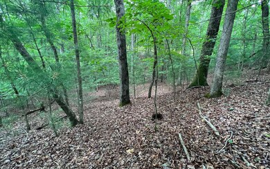 Additional View