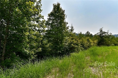 113 Chardonnay Ave unit 10, Marshall, NC 28753 - photo 2