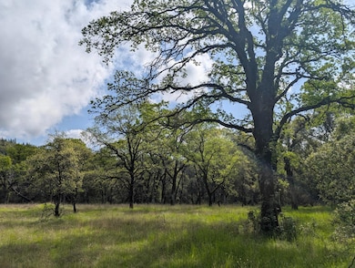 14677 Begonia Way, Oregon House, CA 95962 - photo 2
