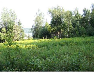 Lot 12 Route 162, T17 R3 Wels, ME 04779 - photo 5
