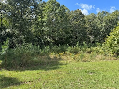 Lot 3B Branch Rd unit 3B, Atlantic, VA 23442 - photo 2